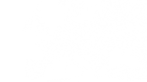 Cover for Roads to Rome